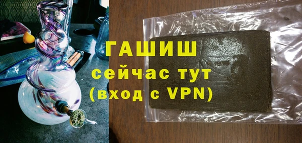 шишки Покачи