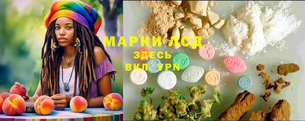 гидра Алексин