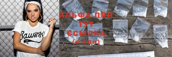 гидра Алексин