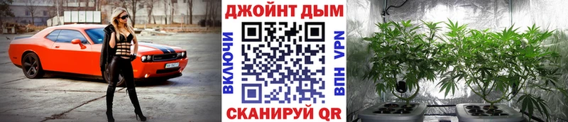 Каннабис MAZAR  Любань 